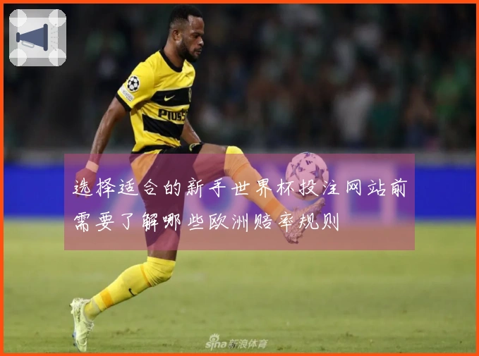 选择适合的新手世界杯投注网站前需要了解哪些欧洲赔率规则