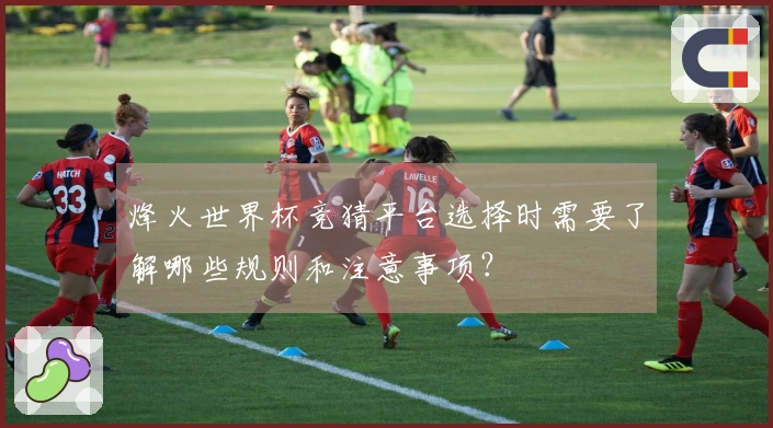 烽火世界杯竞猜平台选择时需要了解哪些规则和注意事项?